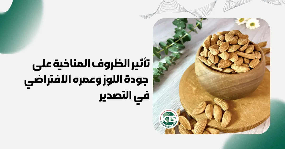 تأثير الظروف المناخية على جودة اللوز وعمره الافتراضي في التصدير