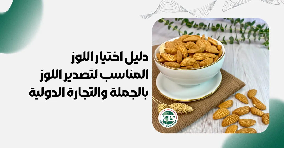 دليل اختيار اللوز المناسب لتصدير اللوز بالجملة والتجارة الدولية