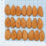 لوز مامائي (Mamra Almond 4A)