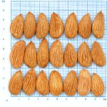 لوز مامائي (Mamra Almond 5A)